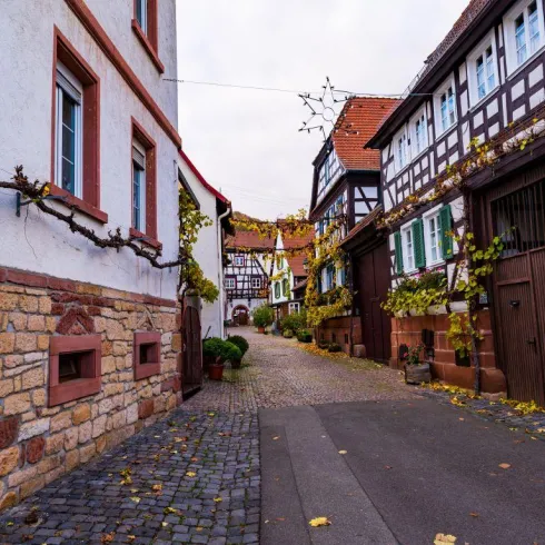 Eine malerische Straße mit Fachwerkhäusern und gepflastertem Boden. Bunte Blätter liegen auf dem Boden und die Atmosphäre wirkt charmant und einladend.