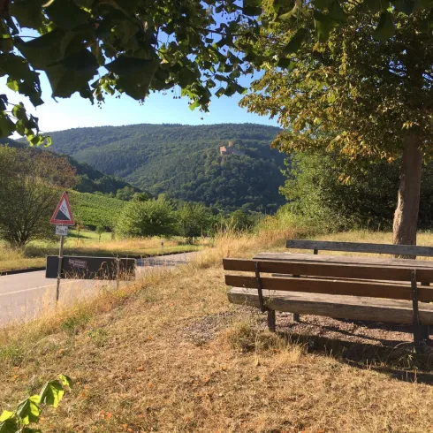 Eine ruhige Landschaft mit einer Bank im Vordergrund. Im Hintergrund sind sanfte Hügel und Weinreben zu sehen.