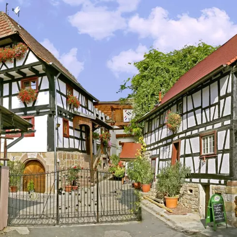 Weingut Doll