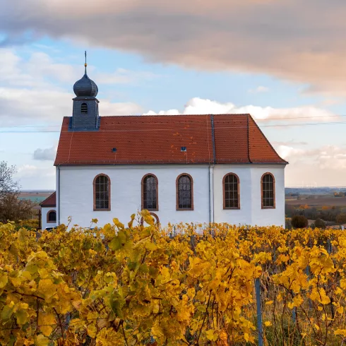 Dionysius Kapelle (© Tourismusverein Bad Bergzaberner Land)