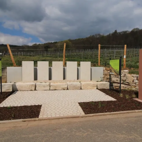 Sonnenberg (© 1. Weinlehrpfad e.V. / Faber)