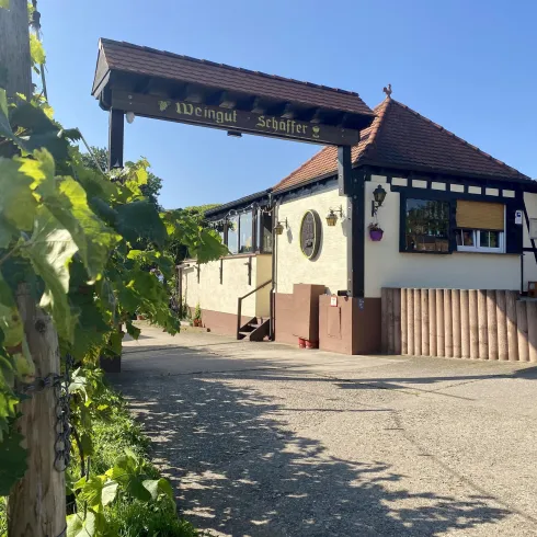 Weingut Harald Schäffer (© Weingut Harald Schäffer)