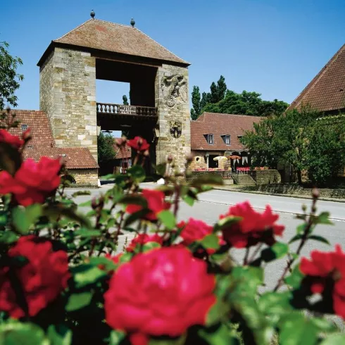 Das Deutsche Weintor (© Archiv TI Bad Bergzabern) Das Deutsche Weintor (© Archiv TI Bad Bergzabern)