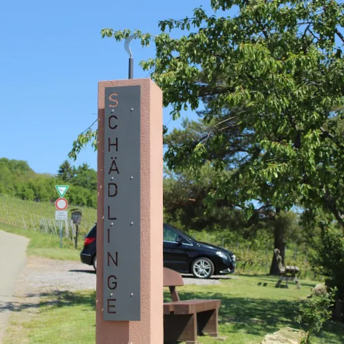 Ein Wegweiser mit der Aufschrift „Schädlinge“ steht an einer grünen Wiese. Im Hintergrund ist ein Baum und ein parken Auto zu sehen.