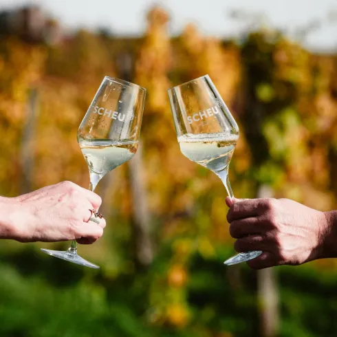 Zwei Gläser mit Wein werden in einem Weinberg angestoßen. Im Hintergrund sind die Weinreben zu sehen.