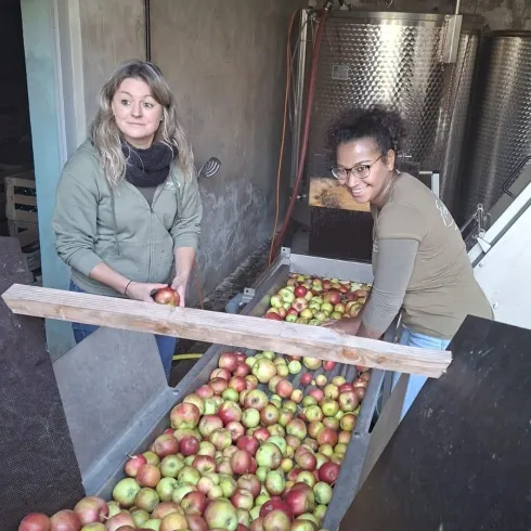 Zwei Frauen sortieren Äpfel in einem Raum. Der Boden ist mit vielen frischen, bunten Äpfeln bedeckt.