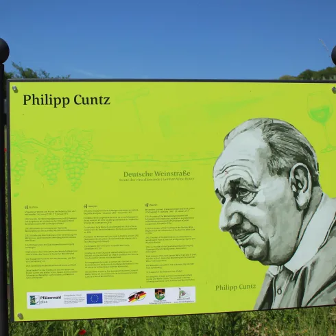 Ein Informationstafel über Philipp Cuntz steht in einer grünen Umgebung. Die Tafel enthält einen Text und ein Porträt von Cuntz.