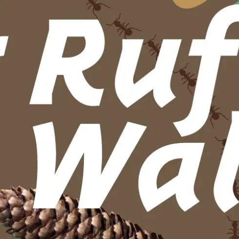 Der Ruf des Waldes Der Ruf des Waldes