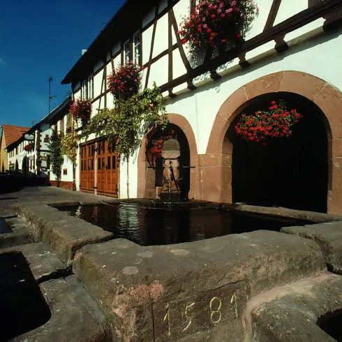 Eine charmante Gasse mit Fachwerkhäusern und einem Brunnen in der Mitte. Blumen hängen an den Fenstern und der Himmel ist klar und blau.