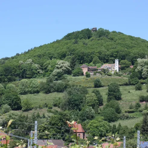 Ein grüner Hügel mit dicht bewaldeten Hängen. Oben auf dem Hügel steht ein kleines Gebäude mit einem Glockenturm.