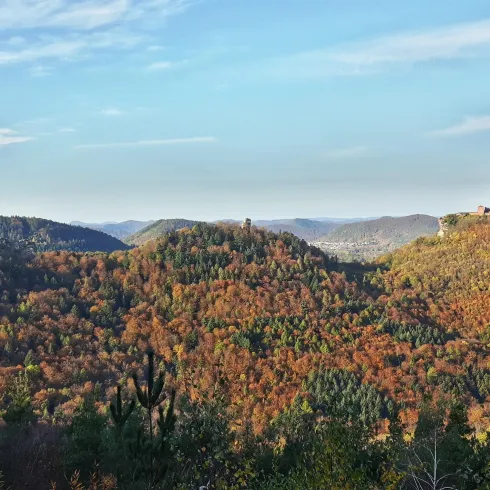Eine malerische Landschaft mit bunten Wäldern im Herbst. Im Hintergrund ist eine Burgruine auf einem Hügel zu sehen.