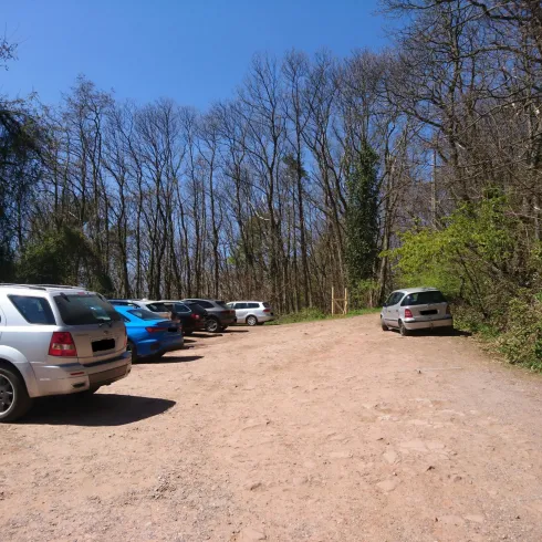 Geparkte Autos auf einem Waldparkplatz.