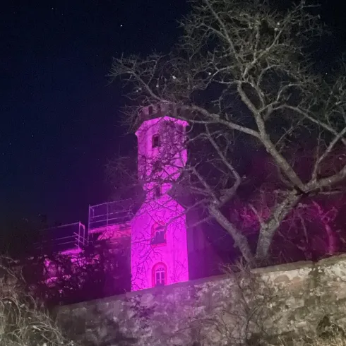 Ein mysteriöses Gebäude in der Dunkelheit, beleuchtet von pinkem Licht. Im Vordergrund sind kahle, verzweigte Bäume zu sehen.
