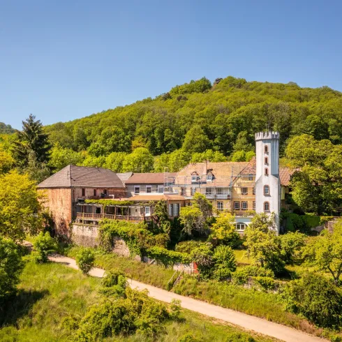 Slevogthof Leinsweiler (© Dominik Ketz, Bildarchiv SÜW e.V.)