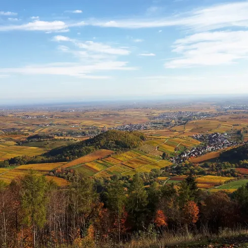 Aussicht vom Föhrlenberg im Herbst