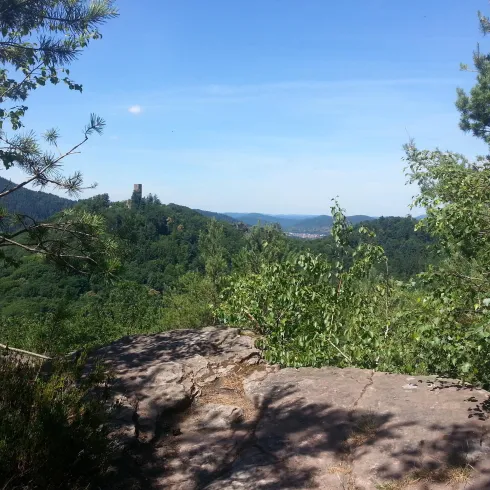 Eine Aussicht auf grüne Hügel und Wälder unter einem klaren blauen Himmel. Im Vordergrund ist ein Felsen und verschiedene Bäume zu sehen.