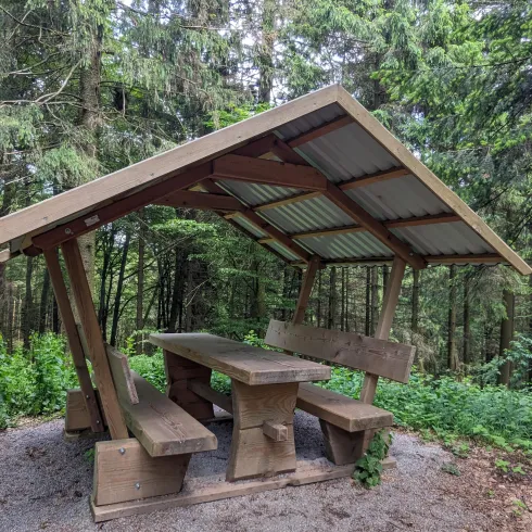 Ein überdachter Platz im Wald mit einer Holzbank und einem Tisch. Die Umgebung ist grün und bewachsen.