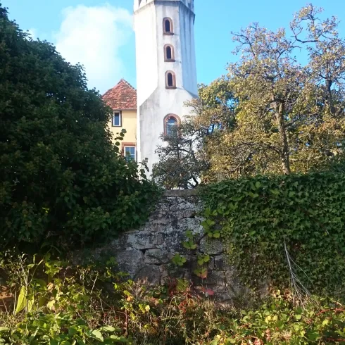 Ein historischer Turm ragt zwischen Bäumen hervor. Der Himmel ist klar und blau, während das Grün der Natur um den Turm herum wächst.