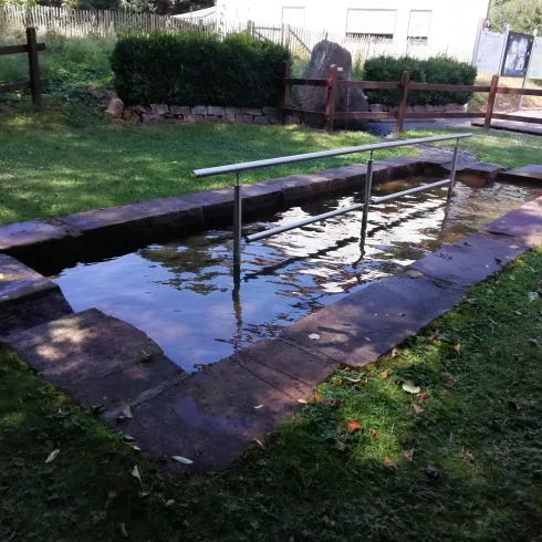 Ein ruhiger Schwimmkanal mit klarem Wasser und einem Geländer. Umgeben von grünem Gras und Büschen.