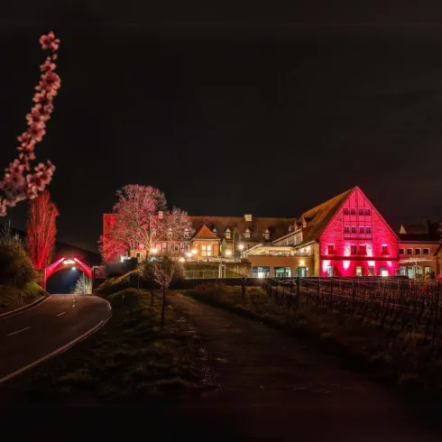 Ein malerisches Gebäude mit bunten Lichtern in der Nacht. Im Vordergrund führt eine ruhige Straße vorbei, umgeben von Bäumen und Weinreben.