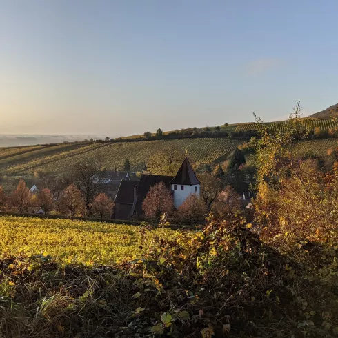 Martinskirche im Herbst (© Nicola Hoffelder, Landau-Land)