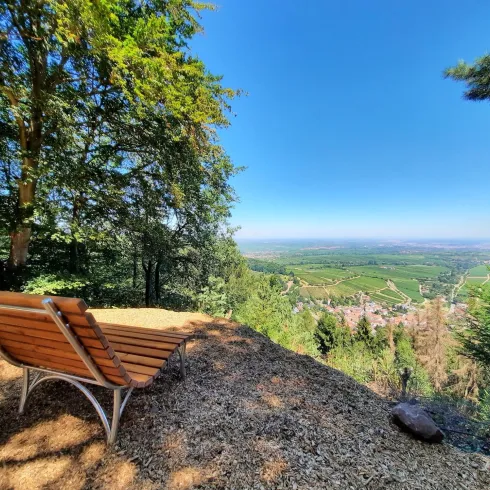 Eine gemütliche Liege steht an einem Aussichtspunkt im Wald. Im Hintergrund erstreckt sich eine weite Landschaft mit Weinbergen und klarem Himmel.