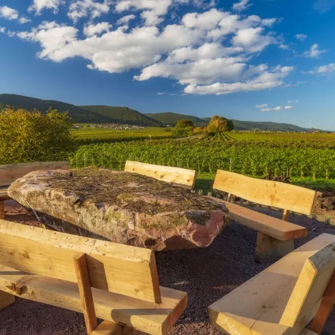 Aussicht Arboretum (© Jürgen Heise)