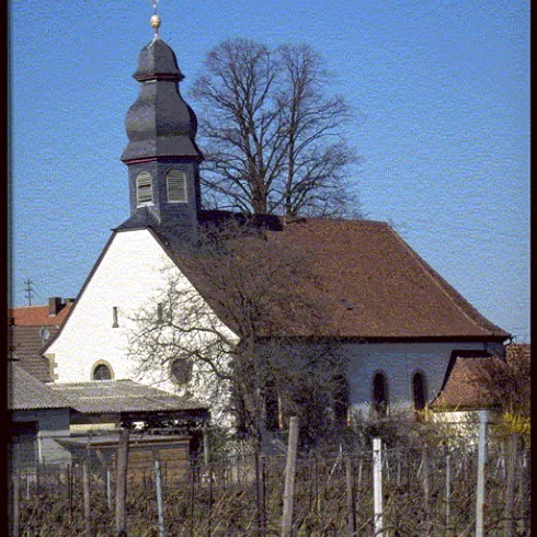 St Alban Kirche Flemlingen (© E. Döringer)