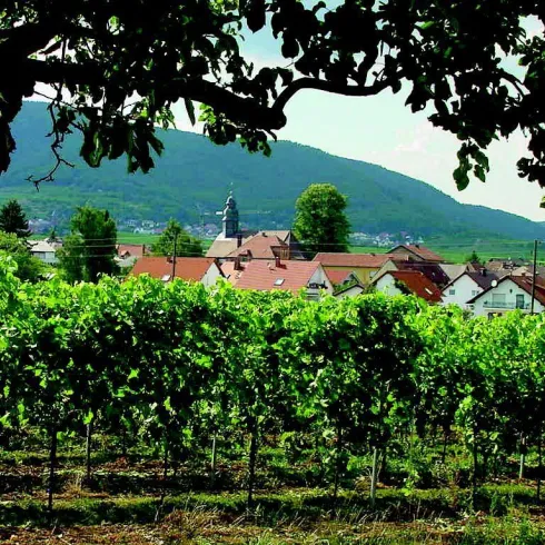 Ortsansicht Wetterhäusel02 Bantz2007