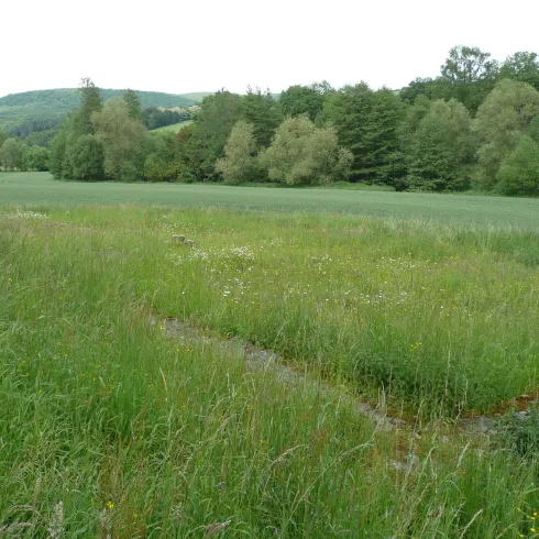 Reipoltskirchen Villa Rustica