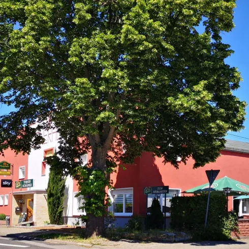 Ein rotes Gebäude mit einer großen grünen Baumfront steht an einer Straße. Vor dem Gebäude sind einige Tische mit Sonnenschirmen.