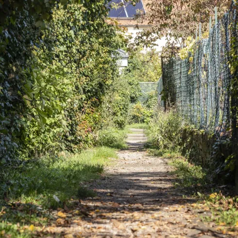 Gadepädelcher 1 (© TI Wachenheim)