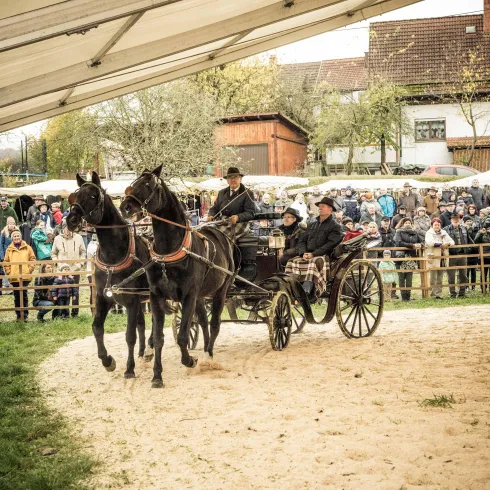 Eine Kutsche wird von zwei schwarzen Pferden gezogen. Eine große Menschenmenge schaut gespannt zu.