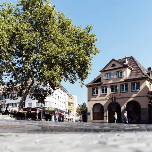 Ein heller Platz mit einer großen Platane und historischen Gebäuden. Menschen gehen umher und genießen die dichte Atmosphäre.