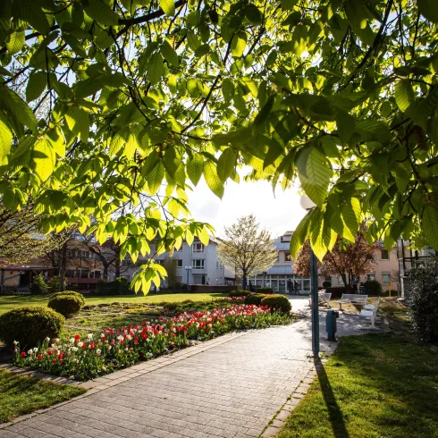 Ein schöner Park mit bunten Blumenbeeten und sonnigem Wetter. Das grüne Laub der Bäume rahmt den Weg ein.