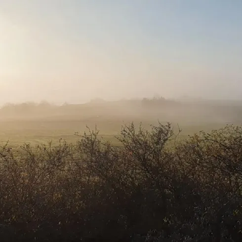 Nebelige Landschaft Nebelige Landschaft