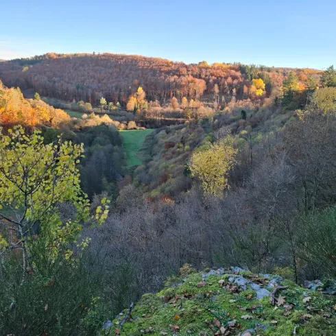 Ein malerisches Tal mit buntem Herbstlaub und sanften Hügeln. Der Himmel ist klar und die Natur strahlt in warmen Farben.