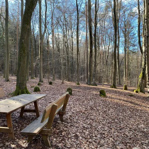 Steinkreis "Neun Steine"