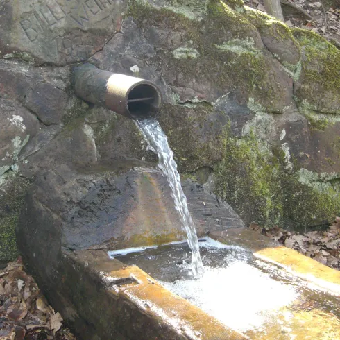 Billesweiher Quelle Brunnen CIMG3333