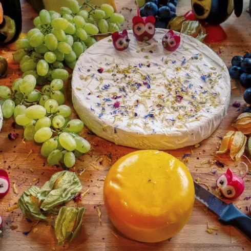 kaseplatte-5588153_1280