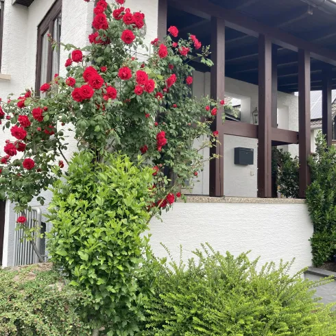 Hauseingang (© Petra Schmidt)