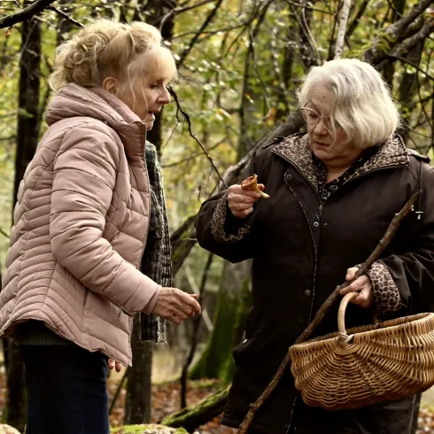 Wenn der Herbst naht