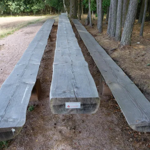 Eine Holzbank aus dicken Balken steht im Freien, umgeben von Bäumen. Der Boden ist mit trockenem Gras und Erde bedeckt.