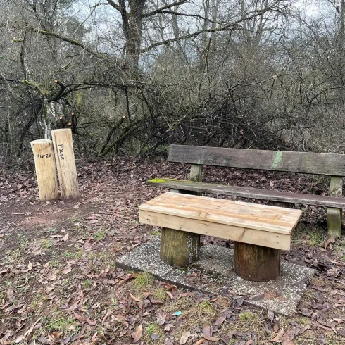 Eine Holzbank neben einer minimalistisch gestalteten Sitzgelegenheit aus Holz. Die Umgebung ist von strauchigem Gebüsch und gefallenen Blättern geprägt.