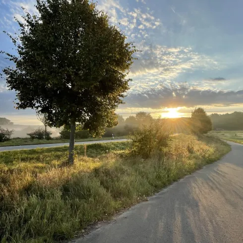 Eine malerische Landschaft mit einem sanften Weg, der durch grasbewachsene Felder führt. Die Sonne geht hinter einem Baum auf und taucht die Szene in warmes Licht.