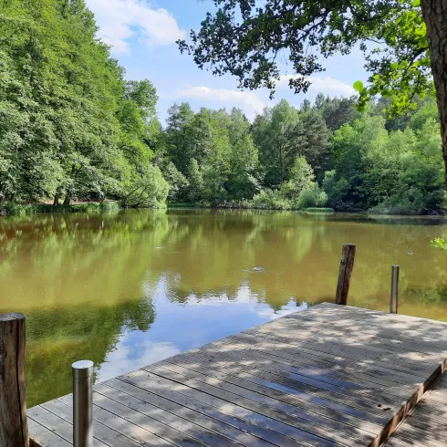 Ein ruhiger Teich umgeben von üppigem Grün. Ein Holzsteg führt zum Wasser und lädt zum Verweilen ein.