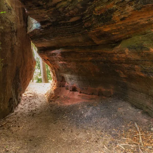 Eine schmale Höhle mit glatten Wänden aus Felsen. Der Boden ist mit Erde und kleinen Pflanzen bedeckt.