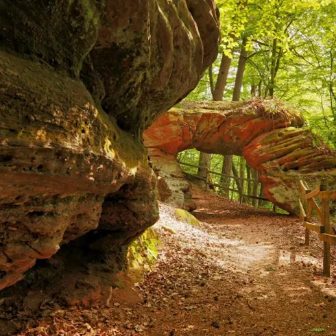 Ein malerischer Wanderweg umgeben von grünen Bäumen und beeindruckenden Felsen. Die Sonne scheint durch das Blätterdach und schafft eine ruhige Atmosphäre.