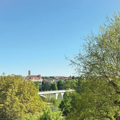 Eine sonnige Landschaft mit Bäumen und einem klaren, blauen Himmel. Im Hintergrund ist eine Brücke und einige Gebäude zu sehen.