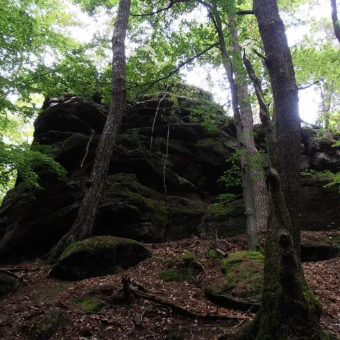 Ambosfelsen (© Stadtmarketing Pirmasens/ Knut Schmid)